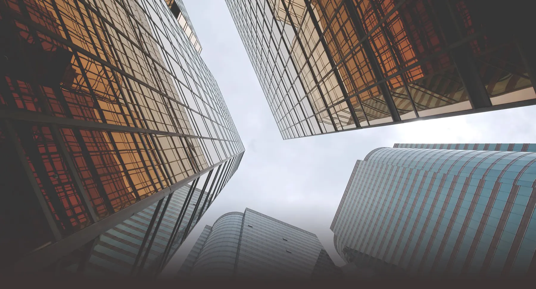 Premium Innovation / プレミアムイノベーション株式会社